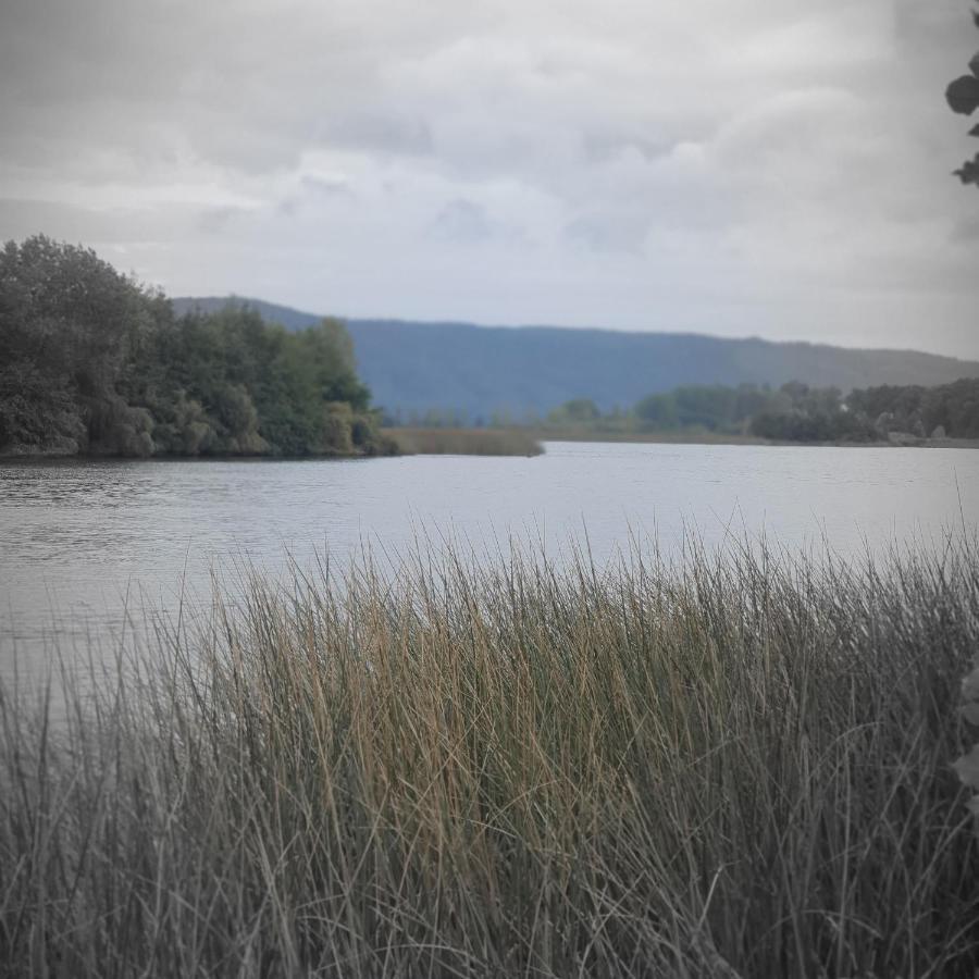 Cabanas Rosner Valdivia Esterno foto